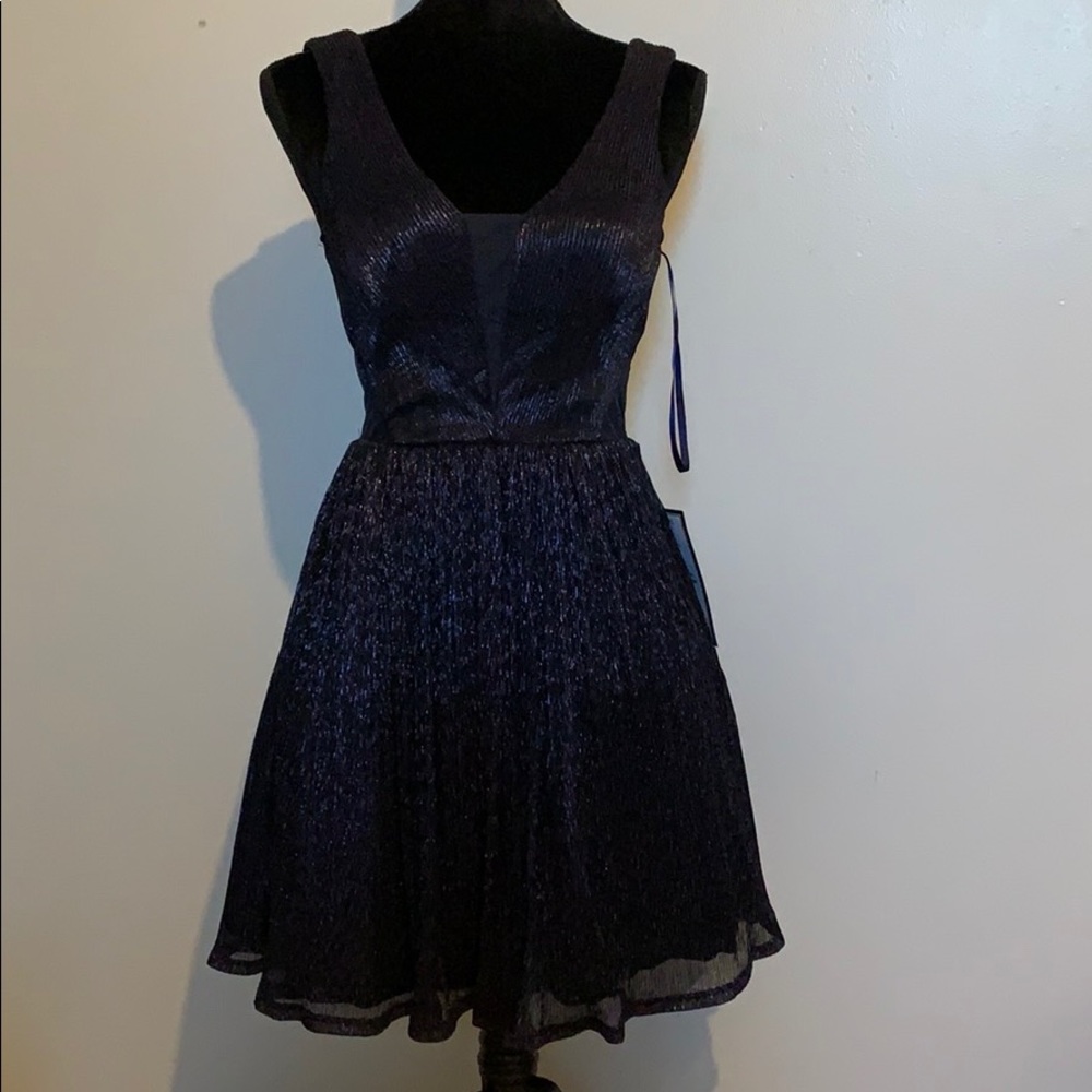 NWT Shimmering party dress with Mesh inserts